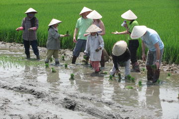 Agricultural Tour in Hoi An
