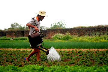 Authentic Hue Countryside And Culture Cycling Tour