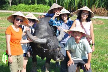 Bike Tour to Cam Thanh Village from Hoi An