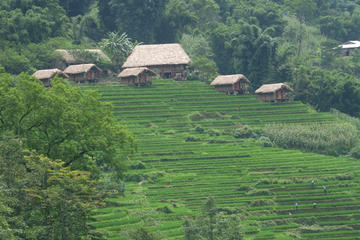Cultural walks and overnight in remote minority village