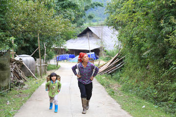 Half-Day Tour of Hoang Lien National Park and Sin Chai Village from Sapa