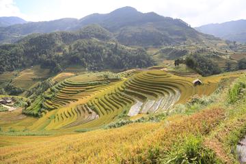 Muong Hoa Valley and Ban Ho Village from Hanoi