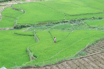 Sapa Valley Half-Day Trek with Y Linh Ho and Cat Cat Villages