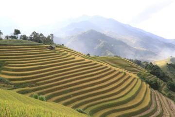 Trek through Hoang Lien National Park to Ban Ho valley