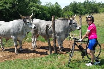 Self guided MTB tour around Porec