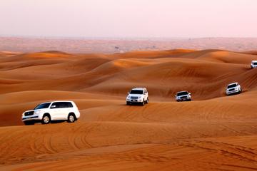Sunset Desert Safari with Free Sand Boarding from Abu Dhabi