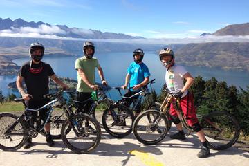 Half-Day Downhill Mountain Bike Rental