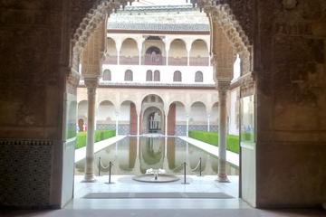 Private Guided Tour with Skip the line Alhambra Ticket
