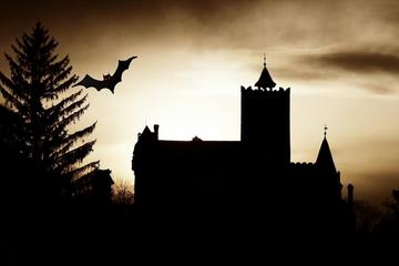 4-Day Private Dracula Tour from Bucharest