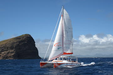 Ilot Gabriel Catamaran Cruise