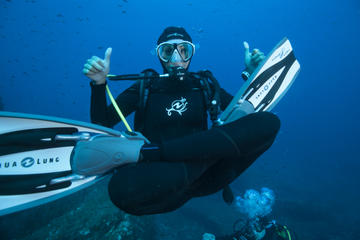 Dive at The Sister Islands of Panama: Taboga and Taboguilla