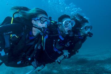 Diving Tour at Bona and Otoque Islands