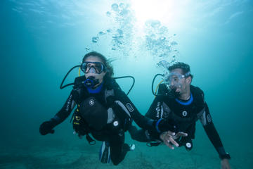 Drake Island and Wreck of B-45 Airplane Experience for Certificate Divers