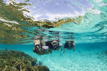 Snorkeling Tour in Panama