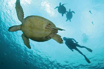 Two Oceans in One Day for Certificate Divers from Panama