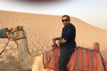 Abu Dhabi Desert Safari With 4 X 4 Dune Bashing And 15 Activities