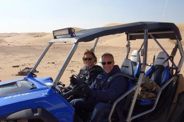 Dune Buggy Desert Adventure Tour from Abu Dhabi