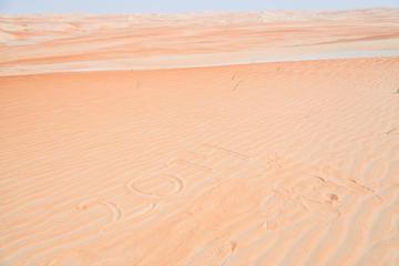 Overnight Desert Safari: Liwa