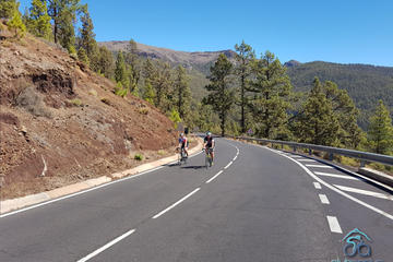 Teide South Cycling Tour in Tenerife