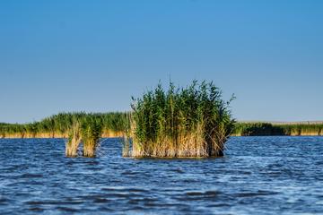 2-Day Tour - The Danube Delta & Black Sea