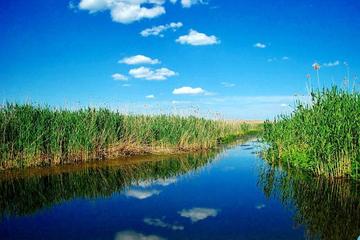 The Delta nearby Bucharest seen by boat