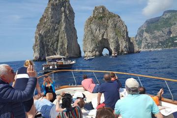 Capri Excursion in Private Boat Full Day From Sorrento