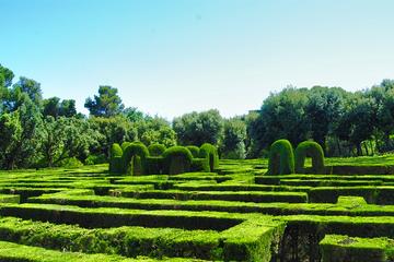 Gay Friendly Private Horta Gardens and Tibidabo Tour