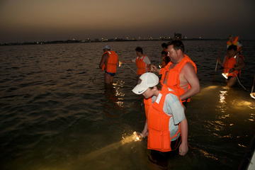 Crab Hunting in the Mangroves