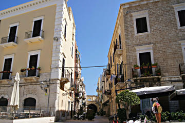 Puglia Full-Day Tour: Bari, Trulli of Alberobello, Castel del Monte and Sassi of Matera