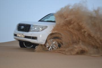 Evening Desert Safari