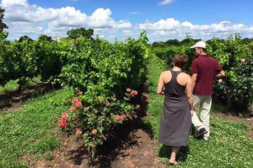 Montevideo Wine Tour