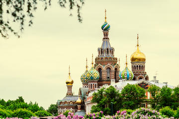 Skip the Line Half Day Sightseeing Tour in Small Group by Car
