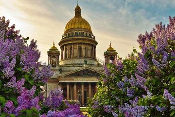 St Petersburg Visa Free Shore City Tour with Boat Cruise and Yusupov Palace