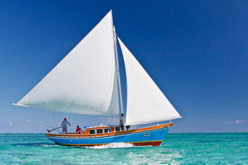 Hol Chan Marine Reserve and Shark Ray Alley Sailing and Snorkeling Tour