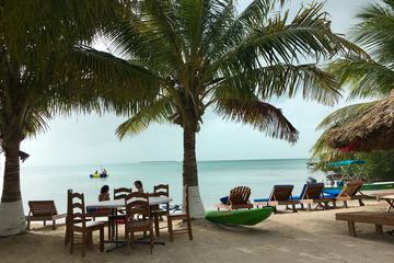 Secret Beach Barbecue with Fishing and Snorkeling