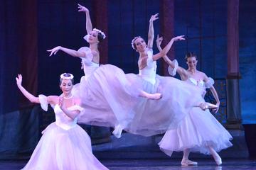 Evening Shore Excursion: St Petersburg Private Theater Tour and Russian Classical Ballet Evening Performance