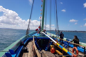 Codfish Route Experience with Traditional Boat Tour and Lunch from Lisbon