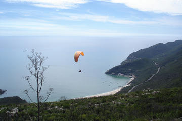 Private Half-Day Tour to Arrabida from Lisbon