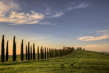 Private Tour: Medieval Val d'Orcia by Minivan from Florence