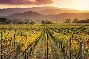 Small Group Chianti at Sunset Wine Tasting Tour from Florence