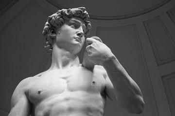The Accademia Gallery in Florence with your private guide