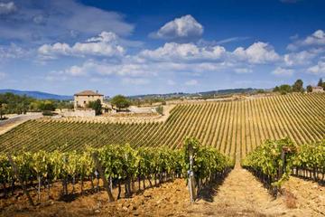 Typical Chianti Villages San Gimignano and Wine Roads by Minivan