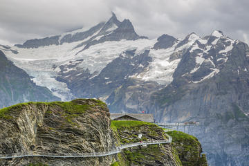 Grindelwald First adventure tour with Cliff walk Zip line and Mountain cart