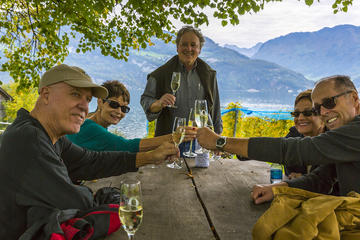 Lucerne Wine Tasting and boat Tour visiting a Traditional Winery