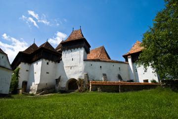 2-Day Small-Group Tour to Dracula's Castle, Rasnov Fortress, Peles Castle, Sighisoara and Libearty Brown Bear Sanctuary with Overnight in Brasov