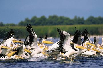 3-Day Small-Group Tour in the Wild Danube Delta