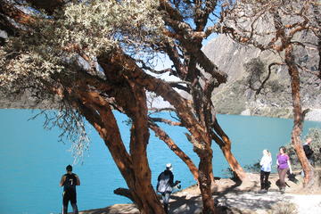 Llanganuco Full Day Tour