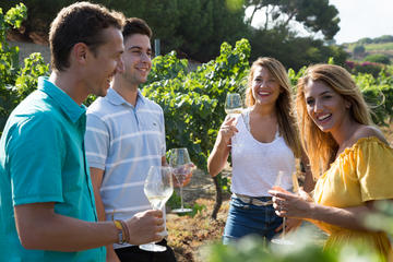 Boutique Wineries Wine and Tapas Small Group Tour