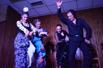 Flamenco Show with Dinner and Workshop in Madrid
