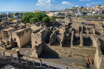 Half-Day Herculaneum Tour from Sorrento